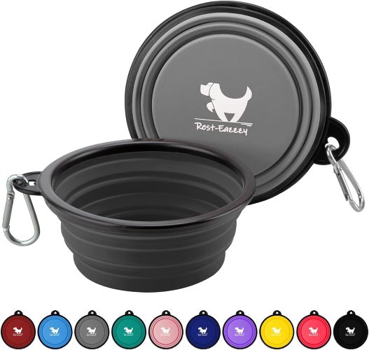 dog water bottle for walks